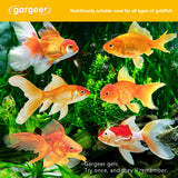 Goldfish Food