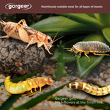 Gargeer 3oz Bugs and Insects Food