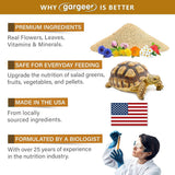 Grassland Tortoise Salad Topper