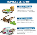 Blue Tongue Skink Salad Topper