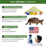 Forest Tortoise Salad Topper