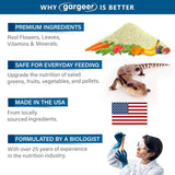 Blue Tongue Skink Salad Topper