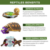 Forest Tortoise Salad Topper