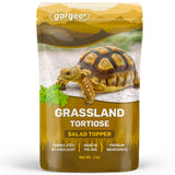 Grassland Tortoise Salad Topper