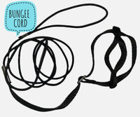 Nylon bird harness & bungee cord