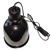 Dome light fittings