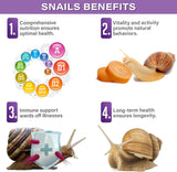 Land Snail Complete Diet with Veggies