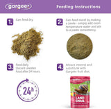 Land Snail Complete Diet with Veggies