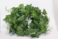 Ivy vine 1,8m