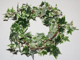 Ivy vine 1,8m