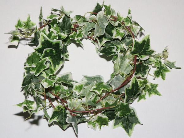 Ivy vine 1,8m