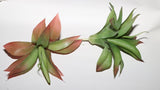 Fake plants