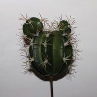 Fake plants