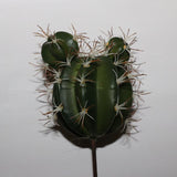Fake plants