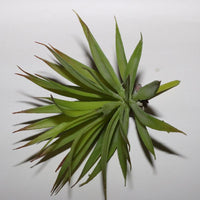 Fake plants