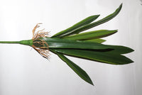 Fake plants