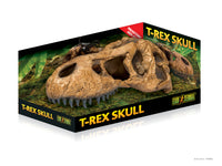 T-Rex Skull