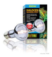 Halogen basking spot light