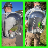 Backpack carrier for birds