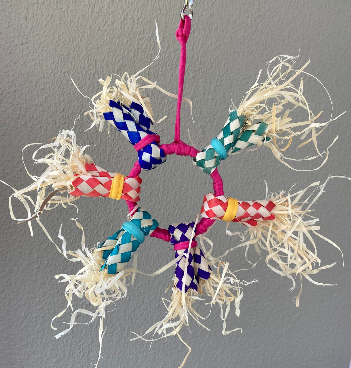 Fingertrap and straw wheel – Reptile Garden SA Online Shop