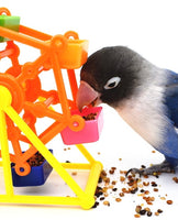 Mini Ferris Wheel for birds